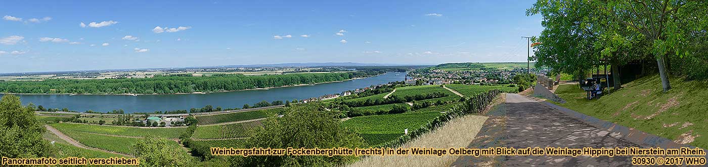 Weinbergsfahrt zur Fockenberghtte in der Weinlage Oelberg mit Blick auf die Weinlage Hipping bei Nierstein am Rhein.