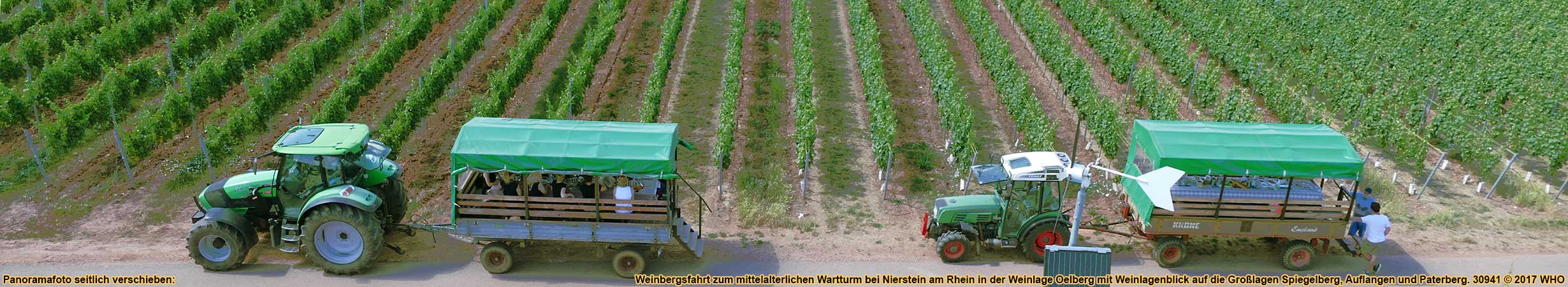 Weinbergsfahrt zur Fockenberghtte in der Weinlage Oelberg mit Blick auf die Weinlage Hipping bei Nierstein am Rhein.