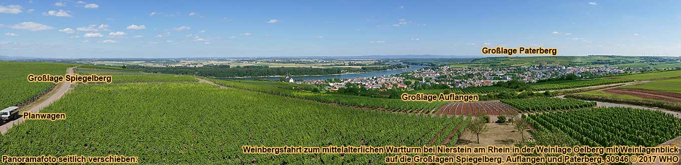 Weinbergsfahrt zum mittelalterlichen Wartturm bei Nierstein am Rhein in der Weinlage Oelberg mit Weinlagenblick auf die Grolagen Spiegelberg, Auflangen und Paterberg.